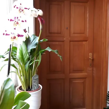 Maristela Apartment Rovinj