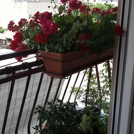 Apartment Maristela Rovinj