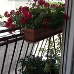 Apartment Maristela Rovinj
